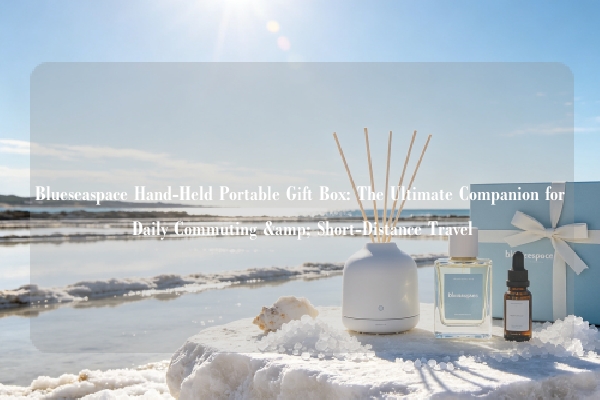 Blueseaspace Hand-Held Portable Gift Box: The Ultimate Companion for Daily Commuting & Short-Distance Travel